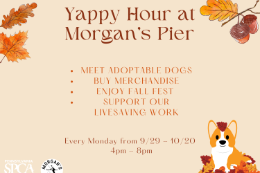 yappy hour