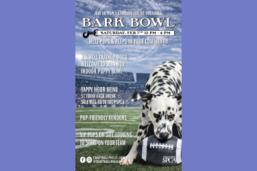 bark bowl